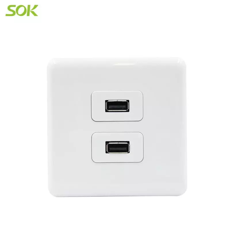 2 Gang USB Outlets