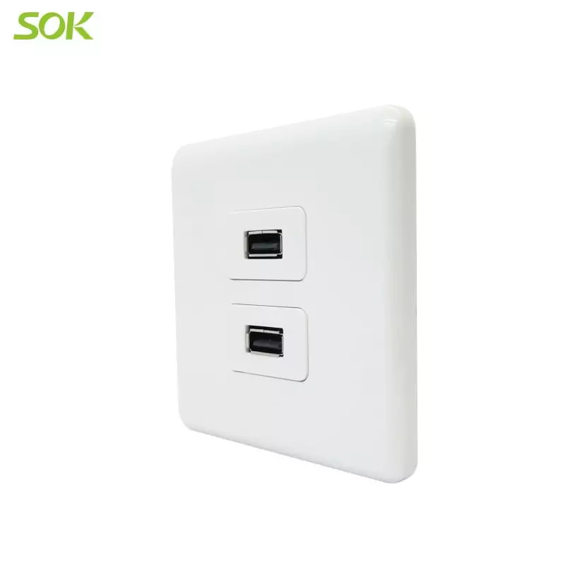 1585114466-2-Gang-USB-Outlets-2.jpg