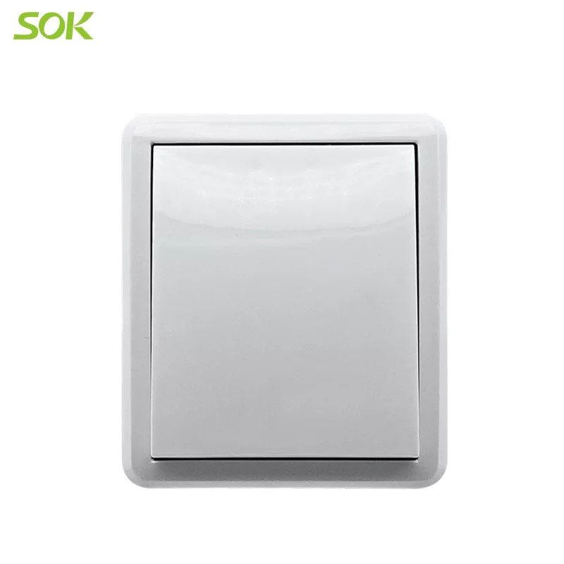 1 Gang 1 Way Light Switch (Surface Mounted)