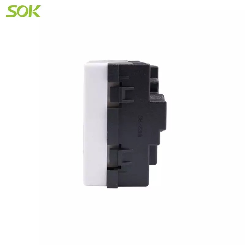 20A_AC_power_Socket_outlet_(1).jpg