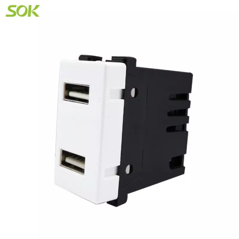 2_Gang_USB_Charger_Modular_(2).jpg