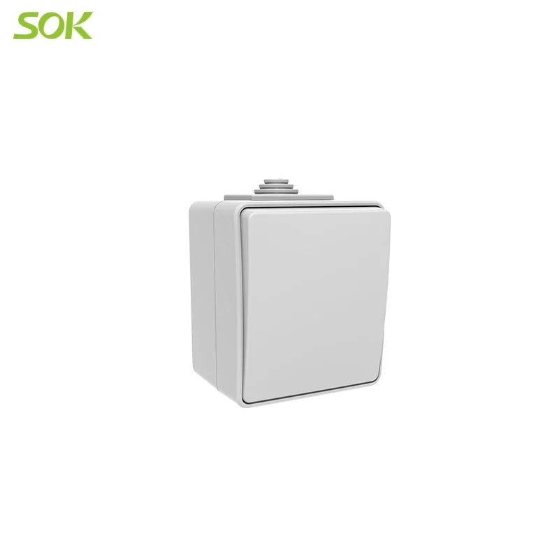 2_Way_1G_Light_Switch_Surface_Mounted(Screw-less_Te.jpg