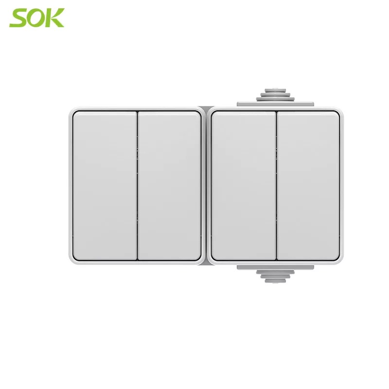 2G 2 Way Light Switch and 2 Gang 1 Way Electric Switch Horizontal Type (Screw- less Terminal)