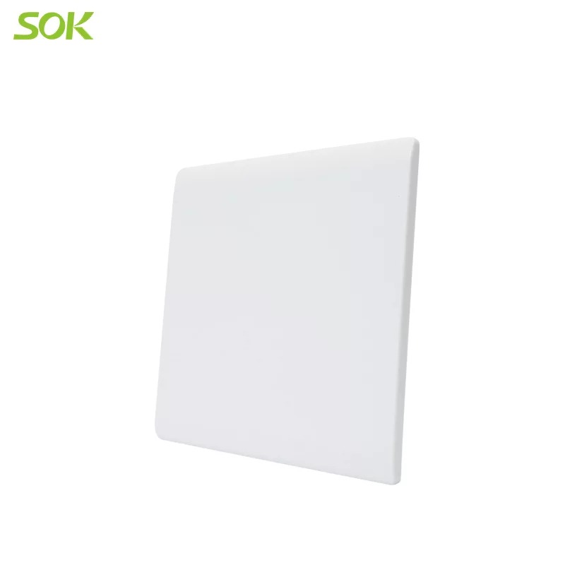 86_Size_Blank_Plate_-_White_(1).jpg