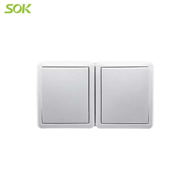 Double 1 Gang 1 Way Light Switch With LED Indicator (Surface Mounted)