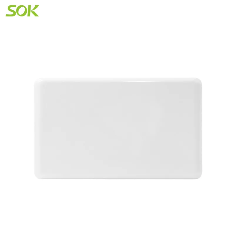 147 Blank Plate - White