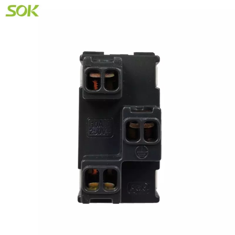 Euro-American_Socket_Outlet_Modular_(1).jpg