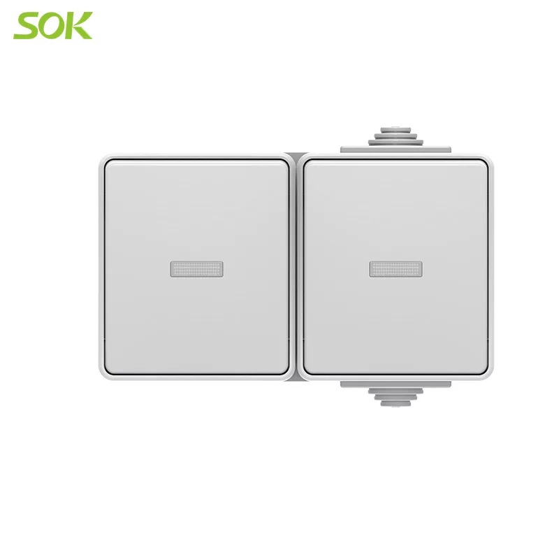 IP65 1 Way Wall Switch with LED and 2 Way Wall Switch with LED Surface Mounting Horizontal Type(Screw less Terminal)