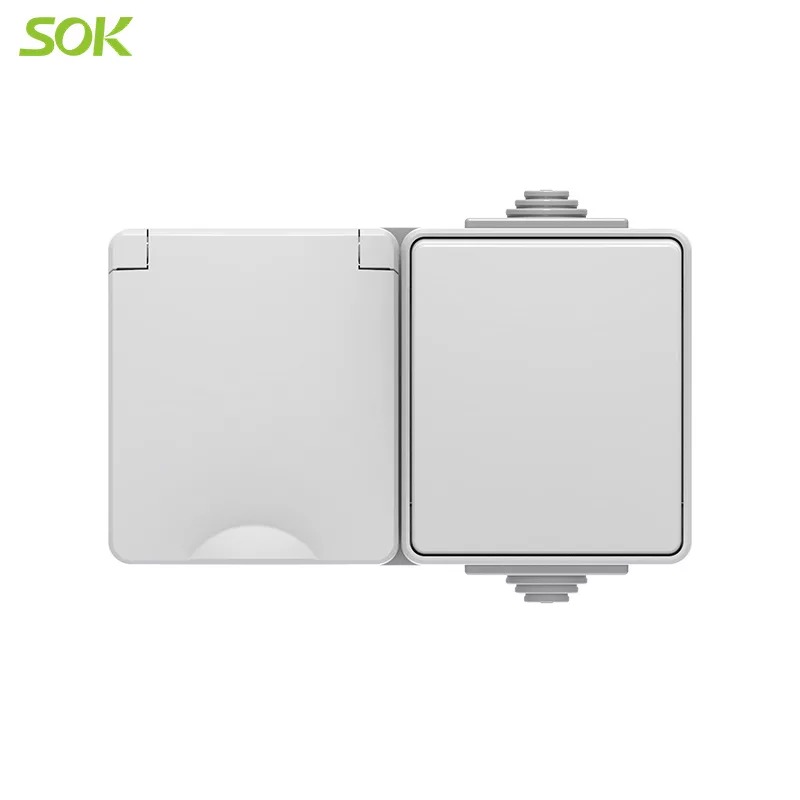 IP65_Single_Way_Wall_Switch_and_1_Gang_Schuk.jpg