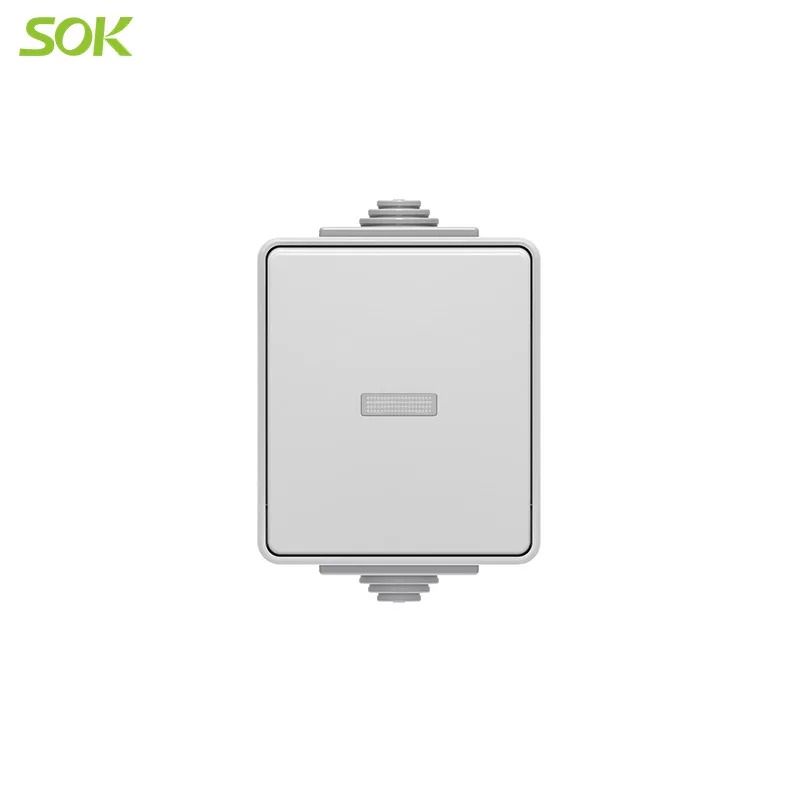 One Way Light Switch with LED Surface Mounting(screw -less terminal)