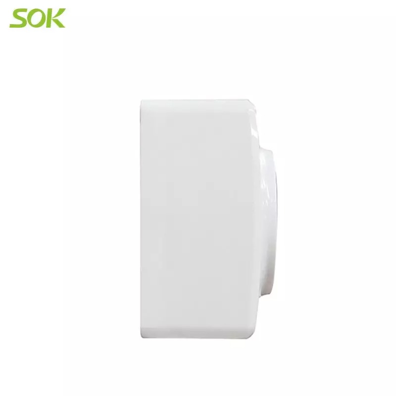 Single_Schuko_Outlet_without_Shutter(Surface_Mounted).jpg