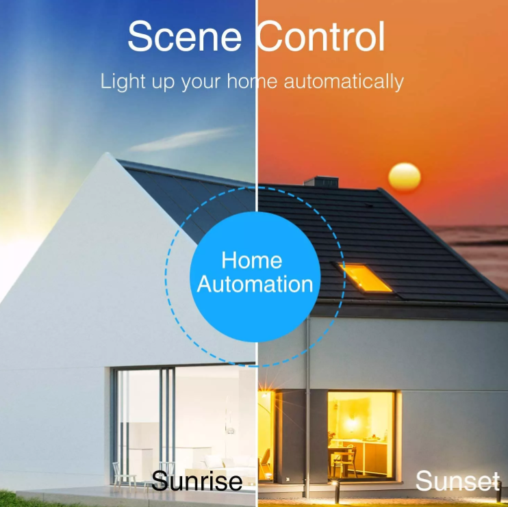 scene control switch