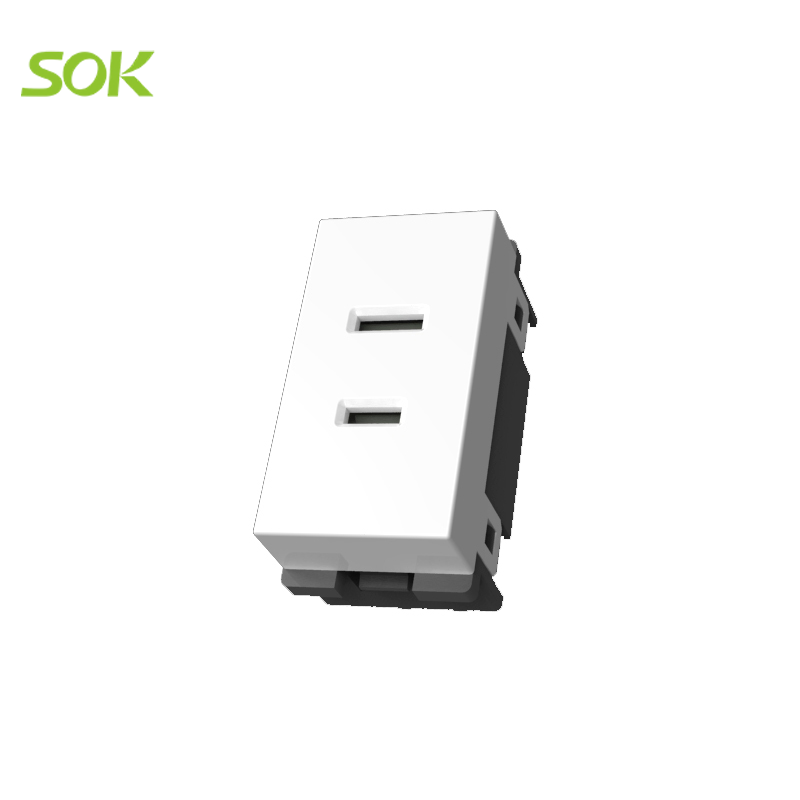 2 Pin Socket Modular