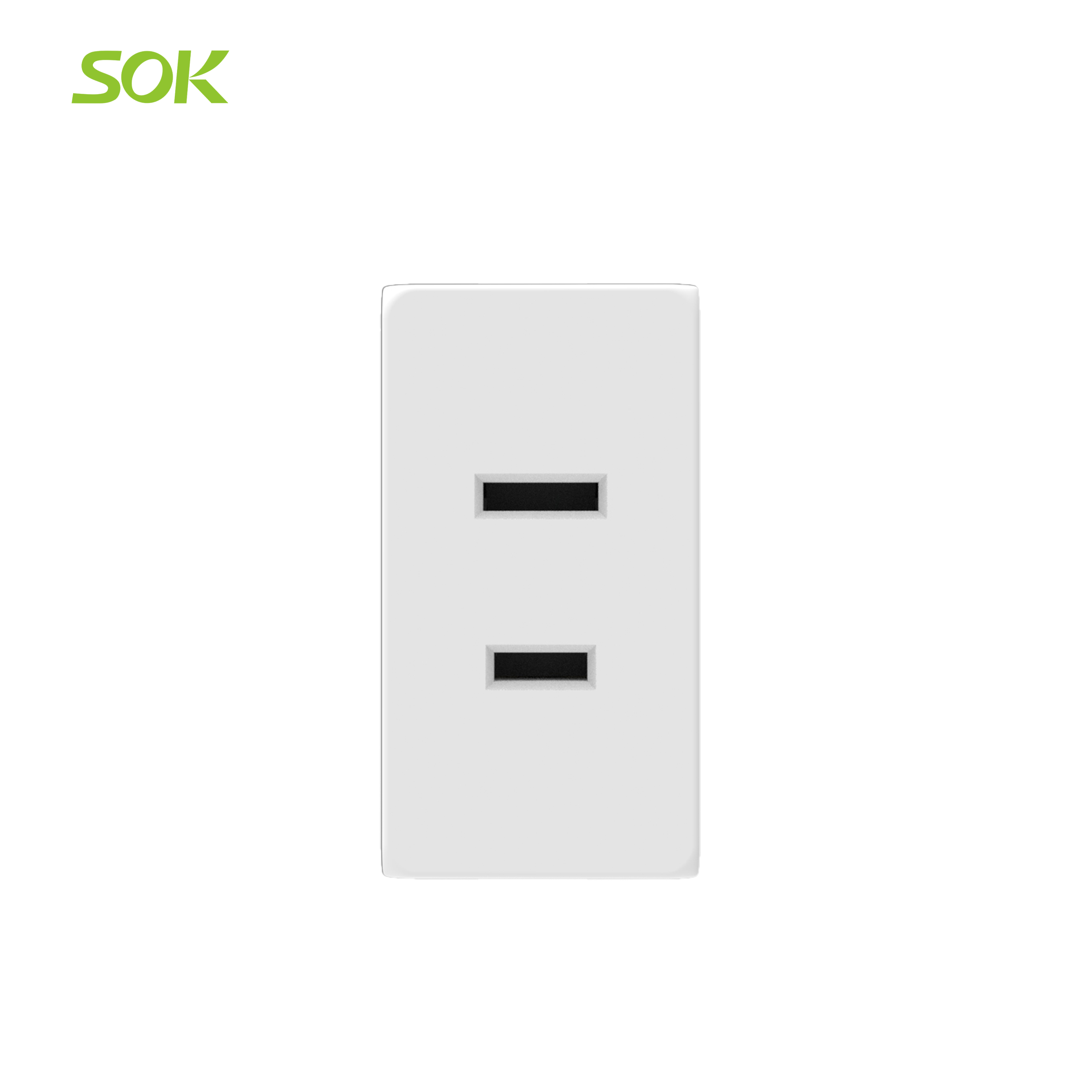 2 Pin Power Outlet Modular