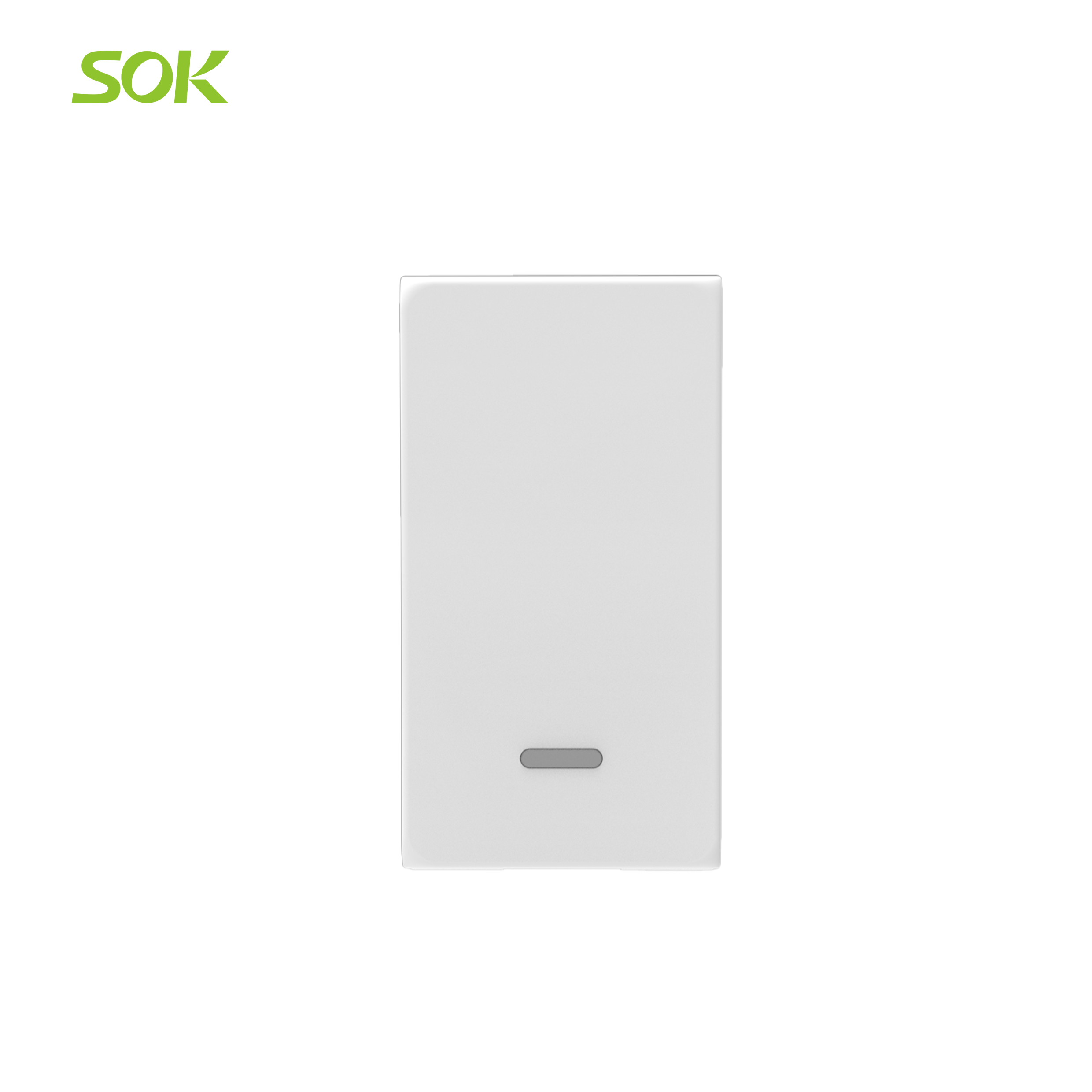 16AX 250V Double Pole Illuminable Switch