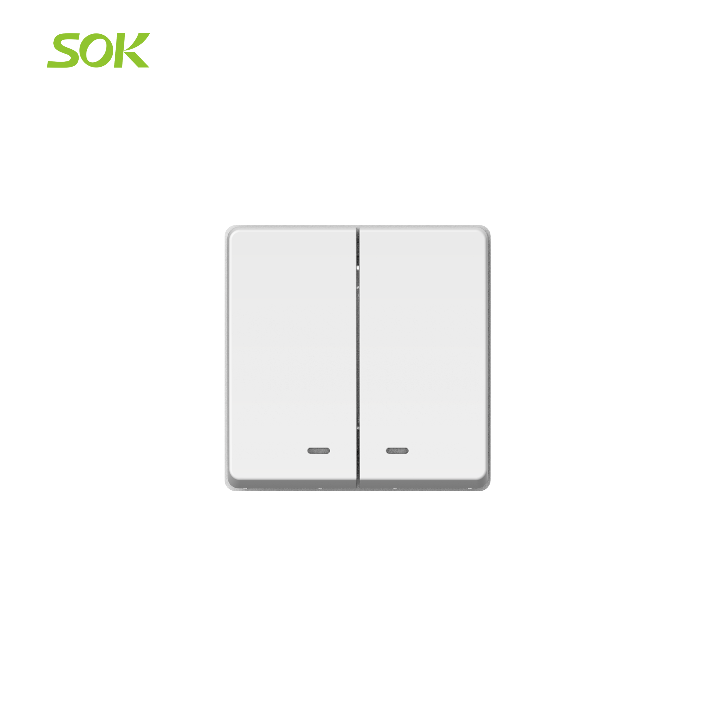 2 Gang 1 Way Light Switch with Neon Indicato