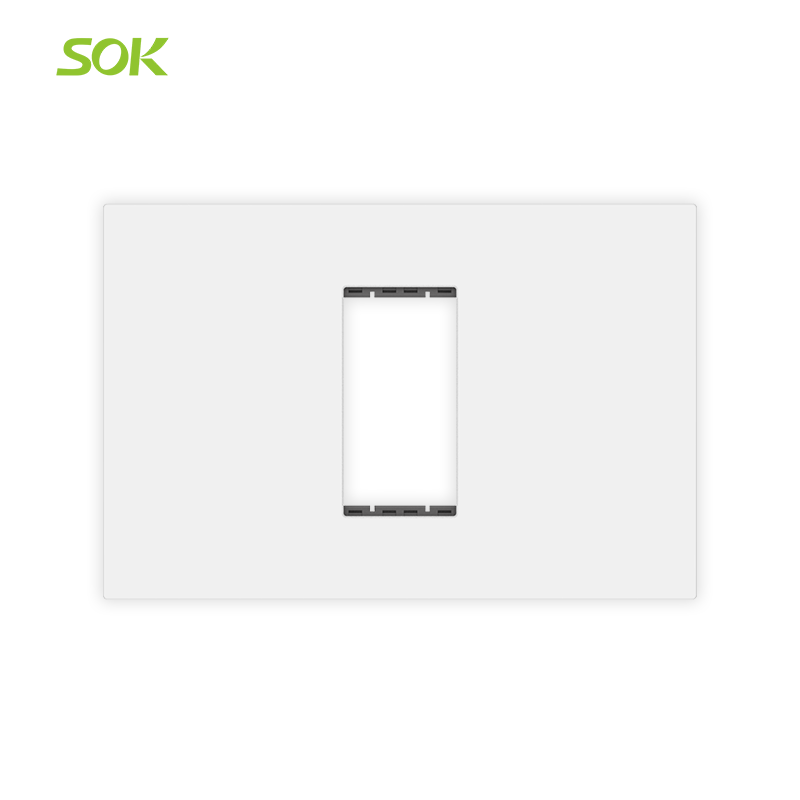 1 Gang Cover and Frame