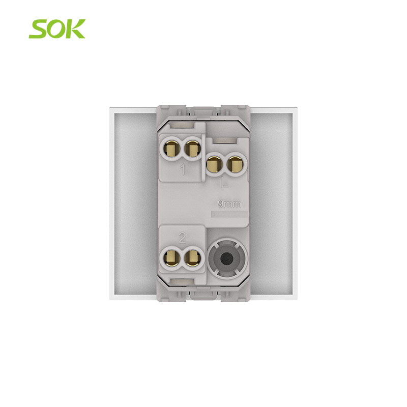 250V_2-Gang_2-Way_Light_Switch_with_Indicator.png