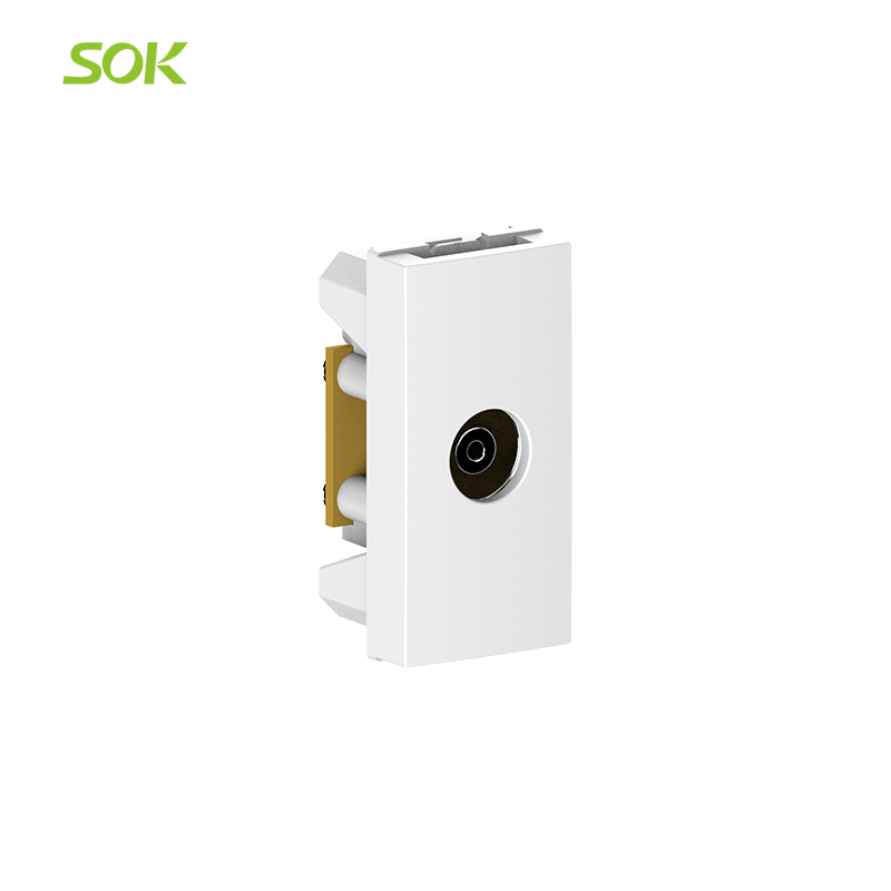 TV_Socket_(F_Type)2.png