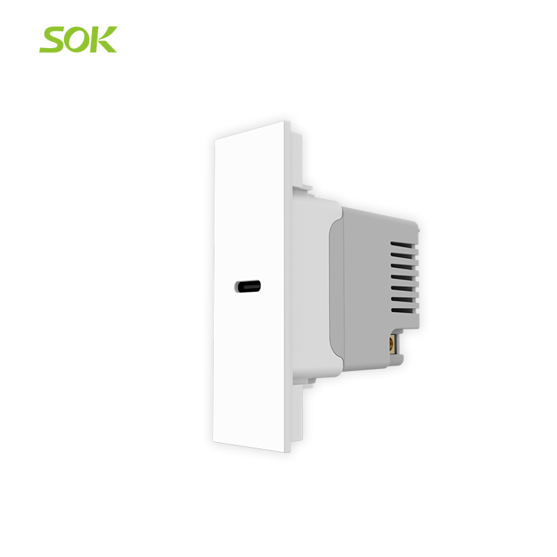 USB_Charger_(Type-C)2.png