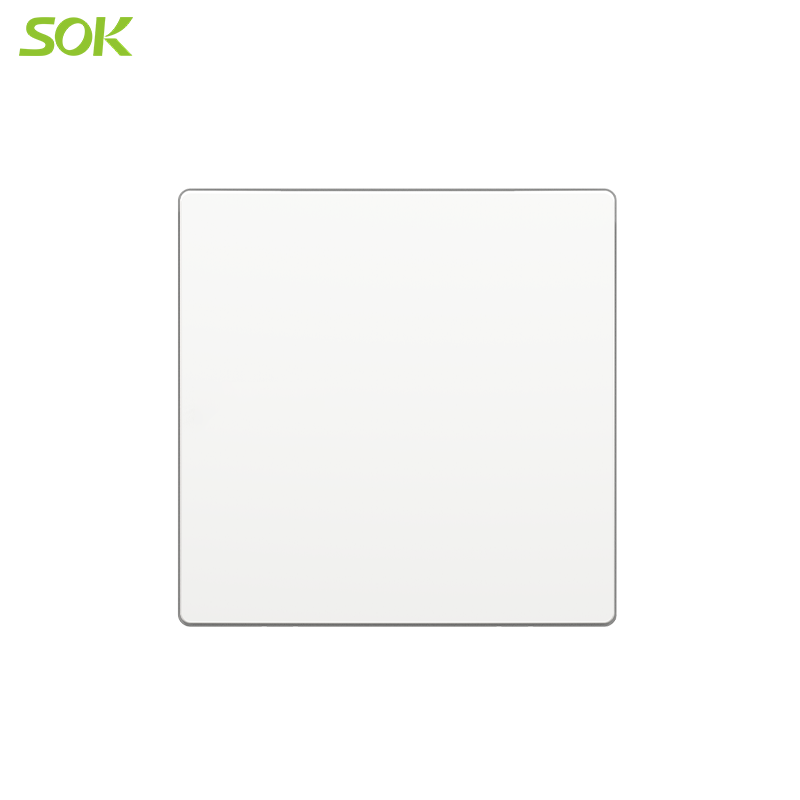 86 Blank Plate